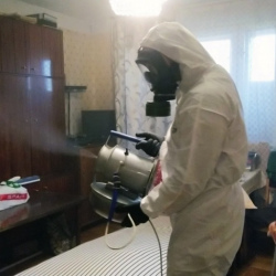 Дезинфекция от клопов в Головинском районе Москвы