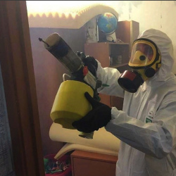 Уничтожение клопов в квартире. Головинский район 